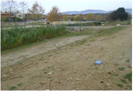 File:055 Riera de Sant Antoni de Vilamajor PIRORIENTAL 008 VII.jpg