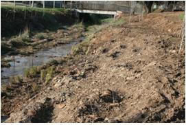 File:055 Riera de Sant Antoni de Vilamajor PIRORIENTAL 008 X.jpg