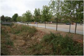 File:055 Riera de Sant Antoni de Vilamajor PIRORIENTAL 008 IV.jpg