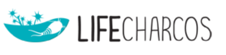 File:Schermata 2019-10-25 alle 12.26.55.png