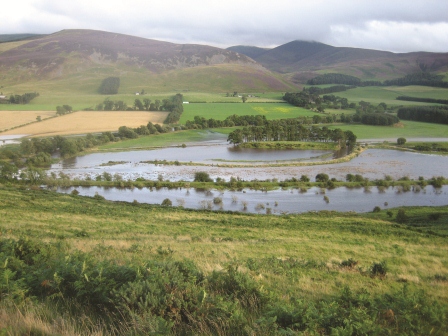 File:Eddleston Water catchment restoration.jpg