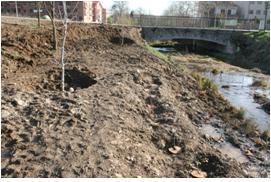 File:055 Riera de Sant Antoni de Vilamajor PIRORIENTAL 008 XI.jpg