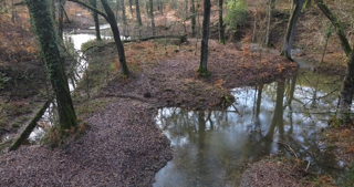 File:Cannop project picture.png