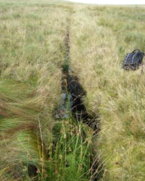 File:Ribble Easington.png