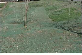 File:055 Riera de Sant Antoni de Vilamajor PIRORIENTAL 008 XIII.jpg