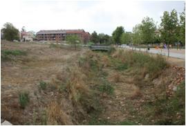 File:055 Riera de Sant Antoni de Vilamajor PIRORIENTAL 008 III.jpg