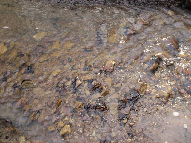 File:4.vosges nord 053.jpg