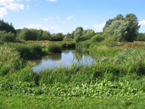 Case study:River Skerne- Life project - RESTORE