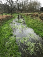 Upstream of Industrial Estate.jpg