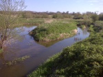 BowFish Refuge.jpg