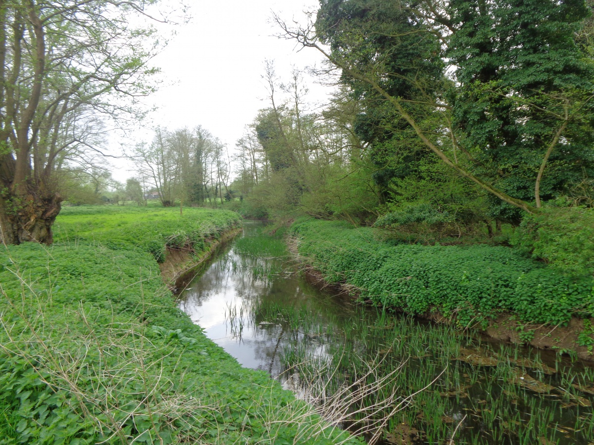 FileRiver restoration site.jpeg RESTORE