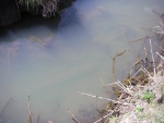 Cudworth murky water.jpg