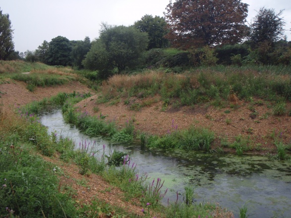 Case study:River Roding at Ray Lodge Park - RESTORE