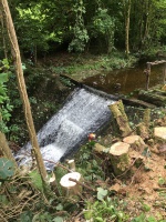 Creamery Weir left bank.jpeg