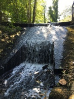 Creamery Weir from downstream.jpeg