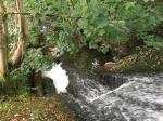 Creamery Weir.jpg