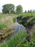 Heavily incised channel.JPG