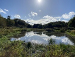 Wetlands Autumn 23.JPG